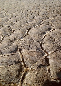 Baked Earth