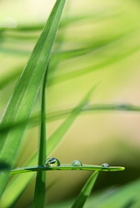 图片细节