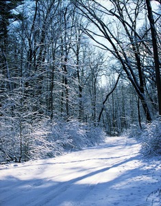 Winter Drive