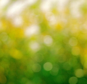 Garden Gradation