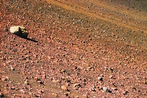 Mars