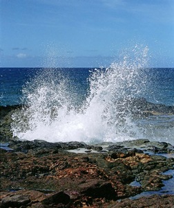 飞溅的浪花