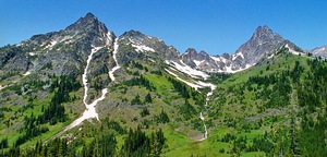 Trees & Peaks