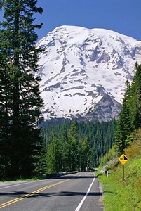 Road to Rainier