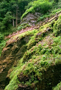 Hillside Trail