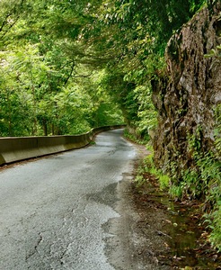Road