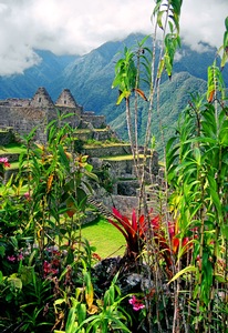Garden Ruins
