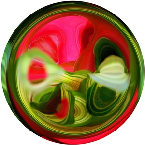 Bromeliad Sphere