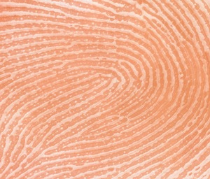 Fingerprint