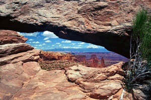 Arch View
