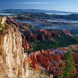 Canyon Fog