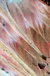 Bryce Sands