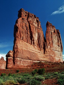 Nature's Wall