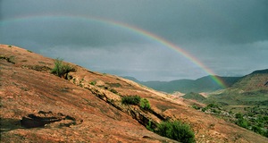 Desert Rainbow
