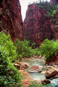 The Gorge